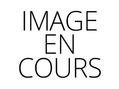 Le Top des ebooks francophones